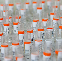 Degree in Biochemistry